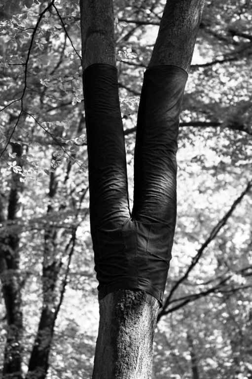 Peter Coffin, Untitled (Tree Pants), 2006, fot. cyt. za Kwartalnik Rzeźby Orońsko nr 2-2007 str. 47