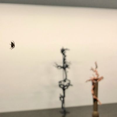 Na pierwszym planie pająk, który przyjechał z pracą Francisco Klingera Carvalho z CRP w Orońsku, w tle widać rzeźby autorstwa Peera Venemana fot. Czekalska Golec 