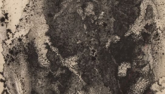 Monika Weiss, Dafne IX (for Nirbhaya), 2020, proszek grafitowy, węgiel, pigmenty suche, woda, żywica na papierze ryżowym  183 × 100 cm, dzięki uprzejmości artystki, fot. Jean Vong