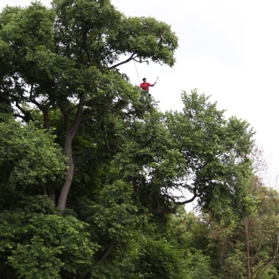 Christoph Both-Asmus, “The Tree Walker. A Moment in Time”, 2015, performance, instalacja, projekt „Dziedzictwo. Patrząc na Brandta”, fot. Jan Gaworski