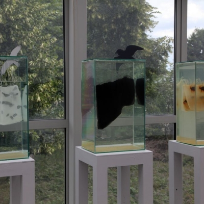 Vasylyna Buryanyk, „Mikroflora idei niezrealizowanych”, 2015, instalacja, projekt „Dziedzictwo. Patrząc na Brandta”, fot. Jan Gaworski