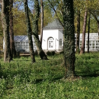 Jest wiosna. Zdjęcie przedstawia biała oranżerie w parku. Na pierwszym planie jest kwitnąca łąka między drzewami.